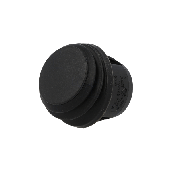 SCI Διακόπτης rocker R13112A802BB