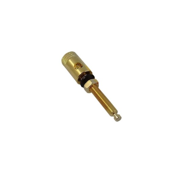 Επίχρυση μπόρνα μαύρη XS-P016/B